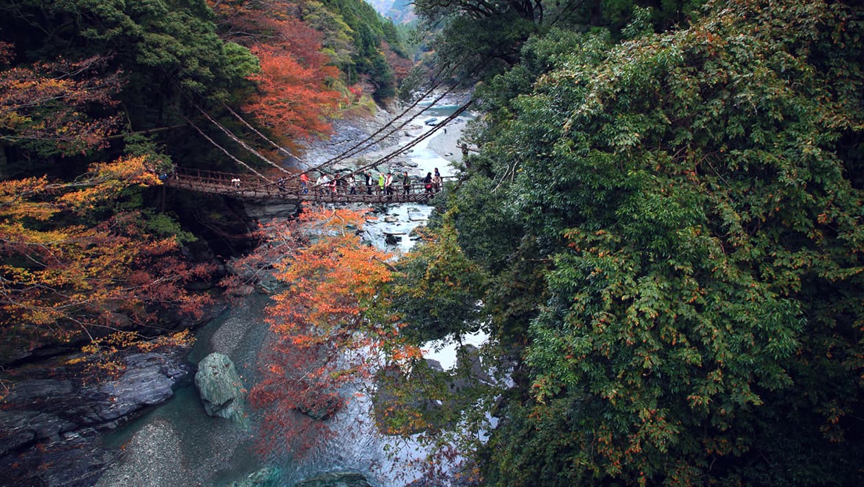 Iya Valley vine bridge | Matsuyama, Shikoku, Japan | The Official ...