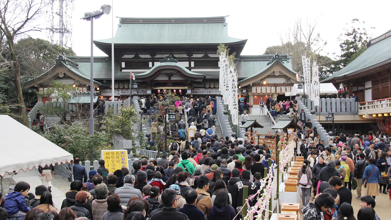 Tsubaki Festival
