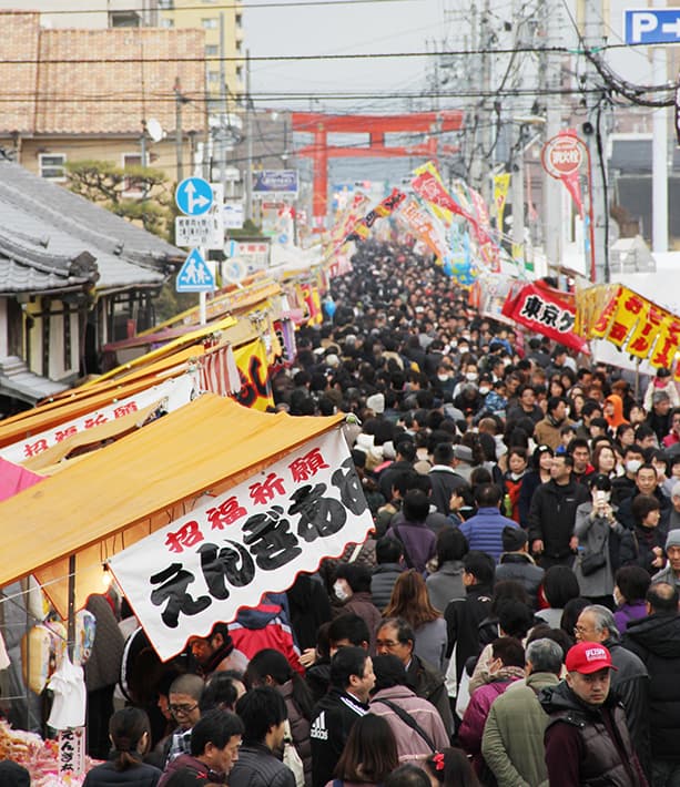 Tsubaki Festival