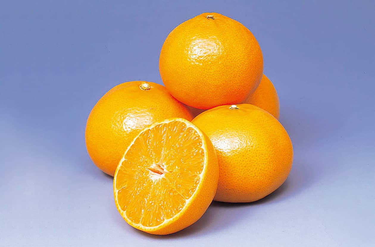Citrus and mandarin oranges