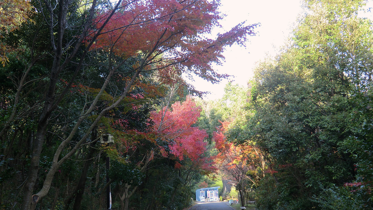 Sōgō Kōen Park