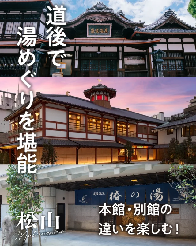 .
道後で湯めぐりを堪能！

松山と言えば道後温泉！という方も多いと思いますが
道後温泉には
本館・別館があるのをご存じですか？？♨✨

堂々たる唐破風が印象的で
国の重要文化財でもある道後温泉本館🏯

飛鳥時代の建築をイメージし
内部は地域の工芸品で彩られた
アートな雰囲気の道後温泉別館 飛鳥乃湯泉🖼️

蔵屋敷風の外観で道後温泉本館と
同じ花崗岩で作られた湯釜のある道後温泉 椿の湯…😌♨

３館とも違った雰囲気で、
湯めぐりを楽しむことができます😊

また、２割引きで３館を巡れる
お得な周遊チケットもあるので
この機会に活用してみてはいかがでしょうか？📢✨

#traveljapan #japantrip #travel #traveling #shikoku #shikoku_trip #setouchimatsuyama #ehime #matsuyama #dogoonsen #onsen #hotsprings #愛媛 #松山 #愛媛旅行 #愛媛観光 #四国旅行 #四国 #松山観光 #松山市 #松山旅行 #道後 #道後温泉 #道後温泉本館 #飛鳥乃湯泉 #椿の湯 #周湯チケット