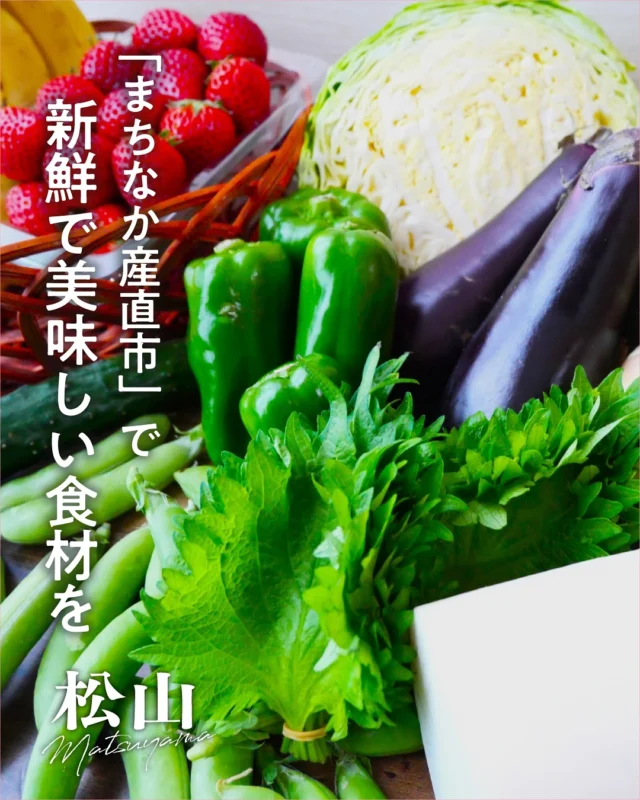 .
🥬「まちなか産直市」で新鮮な美味しい食材を！🍅

松山市にはたくさんの産直市があります！
今回はその中から「まちなか」の
気軽に行くことができるスポットをご紹介🍅
安さ、新鮮、そして安心が揃った産直市に、
ぜひ足を運んでみませんか？🚶🫒

🍅JAえひめ中央 太陽市（おひさまいち）🍅
1300人以上の生産者が手掛けた
地元の野菜や果物が豊富に揃う、まちなかの台所！
新鮮な魚や精肉類、バラエティに富んだ
手作りのお弁当やお惣菜も人気です🥦🥩
珍しい野菜やハーブなども並び、
料理の幅も広がりそう✨
大型駐車場も併設されているのもうれしいポイント！

🥕道後にきたつの路 湯上がり朝市🥕
道後商店街横の「にきたつの路」で開催される、
20年の歴史を持つ朝市🌄
地元ならではの野菜や果物だけでなく、
お弁当やスイーツ、雑貨などの
約20のブースが石畳の風情ある小径に並び、
朝早くから多くの人で賑わいます🍊
朝湯の後に、ふらりと覗いてみるのもおすすめです😊

🥑花園町通り産直市🥑
松山市駅からほど近い花園町通りで開催される
人気の産直市🍅
市の内外の道の駅をはじめ、
農林水産物の生産者などが出店し、
野菜や果物のほか、
魚介類や加工食品などを直接購入することができます🐟
街の中心にあるのでショッピングついでに
気軽に立ち寄れます🥗

自分のお気に入りの産直市を
探してみてはいかがでしょうか？✨

#traveljapan #japantrip #travel #traveling #shikoku #shikoku_trip #ehime #matsuyama #setouchimatsuyama #farmersmarket #streetmarket #localproduce
#freshfromthefarm #popupmarket #freshvegetables #freshfruits #freshseafoods #freshmeat  #愛媛 #松山 #産直市場 #産直市 #産直 #産直野菜 #地産地消#新鮮 #新鮮野菜